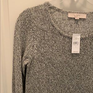 Ann Taylor Loft Cotton Work Dress